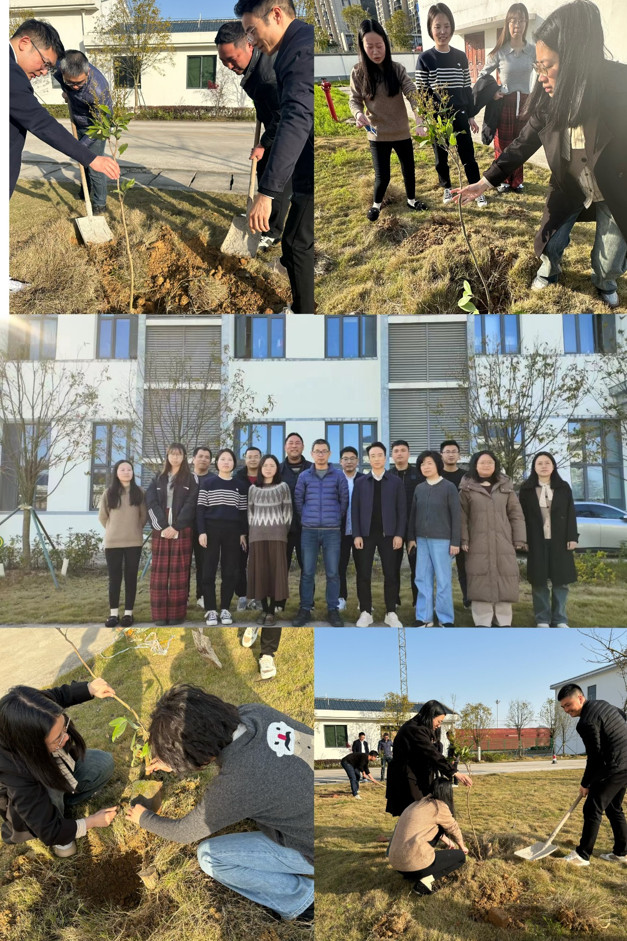 2024-3-12綠色陸港，美麗寧德，阮克妙拍攝.jpg